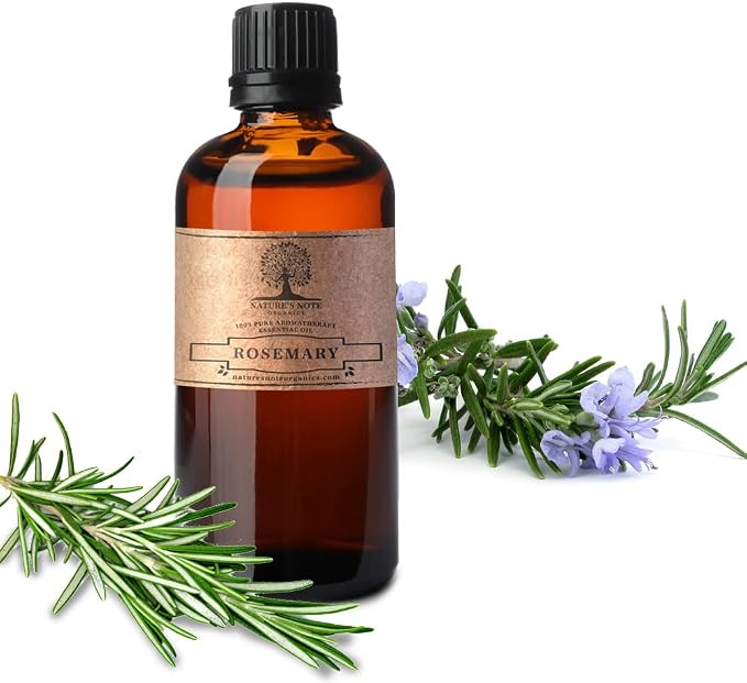 Aromatherapy Essential Oil - 100% Pure Aromatherapy Grade Essential Oil by Nature's Note Organics (10 Ml, Absinthe (Wormwood))