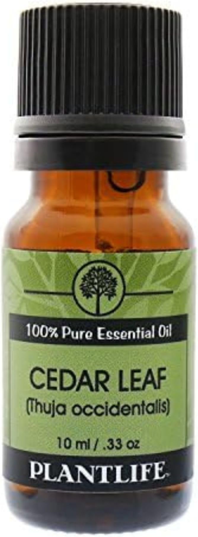 Plantlife Cedar Leaf Aromatherapy Essential Oil - Straight from The Plant 100% Pure Therapeutic Grade - No Additives or Fillers - 10 ml
