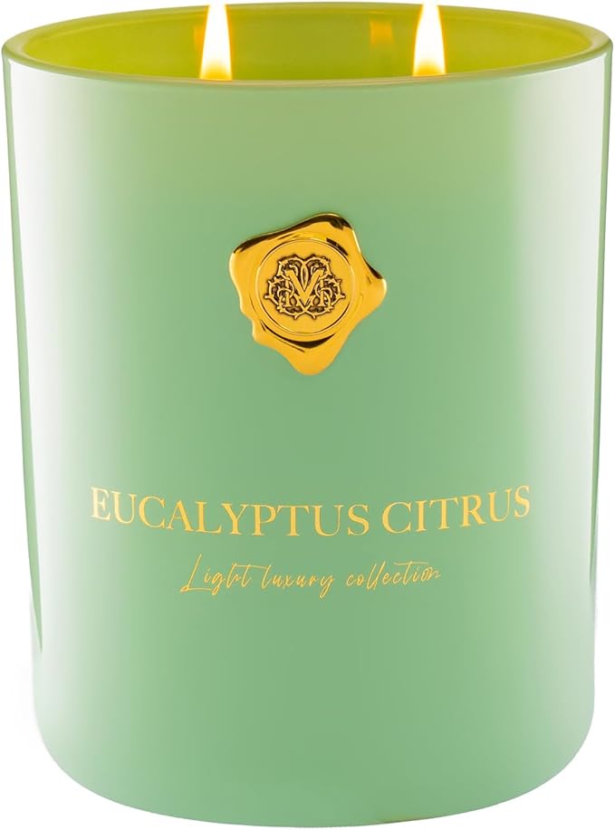 M&SENSE Eucalyptus & Citrus Scented Candle | 90-Hour Burn,16.6 oz | Long-Lasting for Mood Healing and Gifting | Natural Non-Toxic Soy Wax | for Bathroom, Kitchen, Office