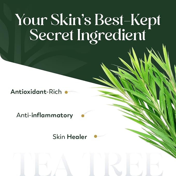 HerbsIndia Tea Tree Essential Oil for Skin - Huge 3.3 Fl Oz - 100% Pure - Premium Grade with Glass Dropper, Undiluted, Non-GMO