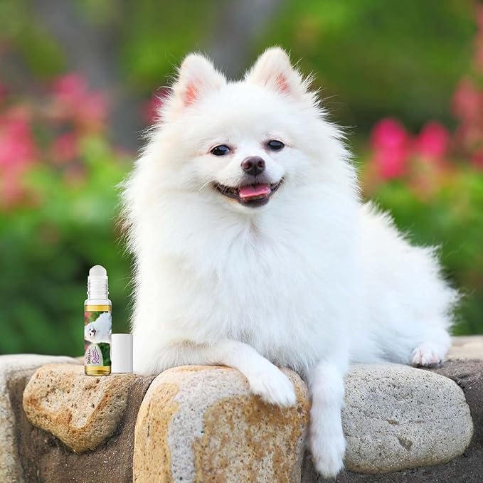 The Blissful Dog American Eskimo Relax Roll-ON Aromatherapy for Dogs - Anxiety Relief for Dogs