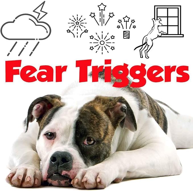 The Blissful Dog American Bulldog Relax Aromatherapy Spray for Your Dog's Anxiety