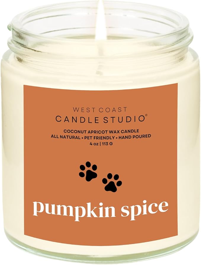 Pet Safe Candle for Dogs | Non Toxic Coconut Apricot Wax Candle | Clean Burning, Paraffin-Free | Pet Odor Eliminating Home Fragrance | Pumpkin Spice | 4 oz