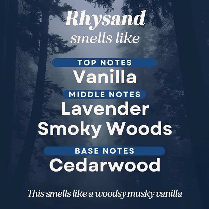 CANDECraftCo 2 Pack Bookish Scents Car Air Freshener for Essential Oils, Aromatherapy Automobile Diffuser, Gift for Her, Library, Book Lover Gift, Reading Bibliophile (Rhysand)