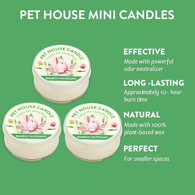 Pet House Mini Candles for Pet Odor Made with Natural Soy Wax, Plant Based, Dog and Cat Friendly Scented Candles, Bamboo Watermint Pack of 3