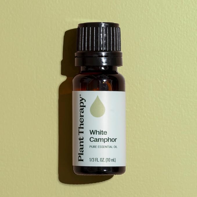 Plant Therapy White Camphor Essential Oil 10 mL (1/3 oz) 100% Pure, Undiluted, Natural Aromatherapy