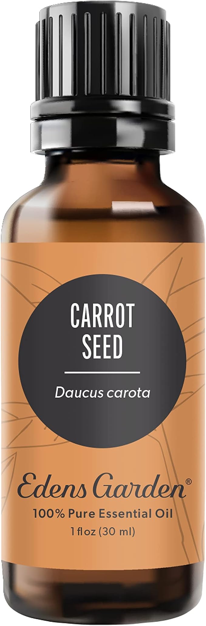Edens Garden Carrot Seed Essential Oil- 100% Pure Premium Grade, Undiluted, Natural, Therapeutic, Aromatherapy, The Best for Diffuser, Skin, Face, Kid Safe 30 ml (1 fl oz)