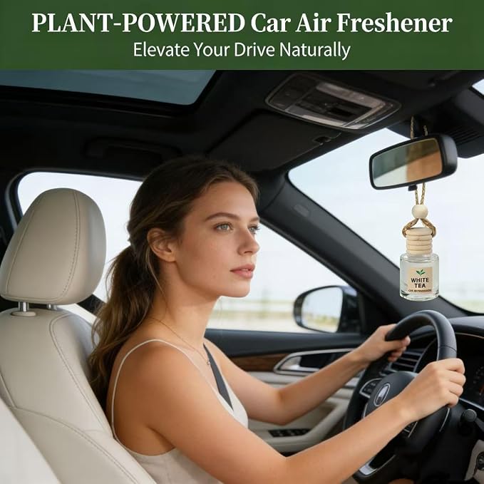 Essential Oil Car Air Freshener 2-Pack, Hanging Auto Diffuser for Rearview Mirror, Clean & Fresh Aesthetic Interior Decor Accessories (Bamboo Rain & White Tea) Inspired by Westin Hotel