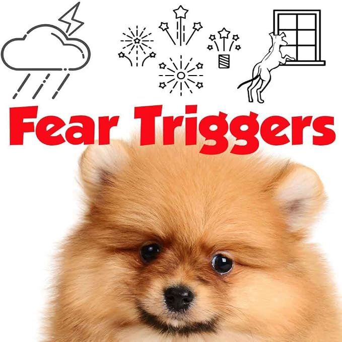 The Blissful Dog Pomeranian Relax Dog Aromatherapy Spray for Your Dog's Anxiety