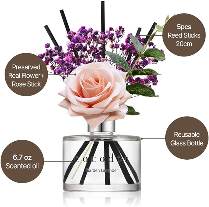 COCODOR Rose Flower Reed Diffuser/Black Cherry/6.7oz(200ml)/1 Pack/Reed Diffuser, Reed Diffuser Set, Oil Diffuser & Reed Diffuser Sticks, Home Decor & Office Decor, Fragrance and Gifts