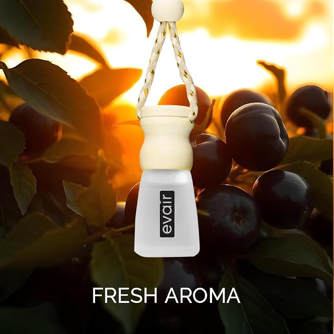 Evair Car Air Freshener | Hanging Air Freshener Car Diffuser | Long Lasting Scents made with Essential Oil | Alcohol Free (Black Amber)