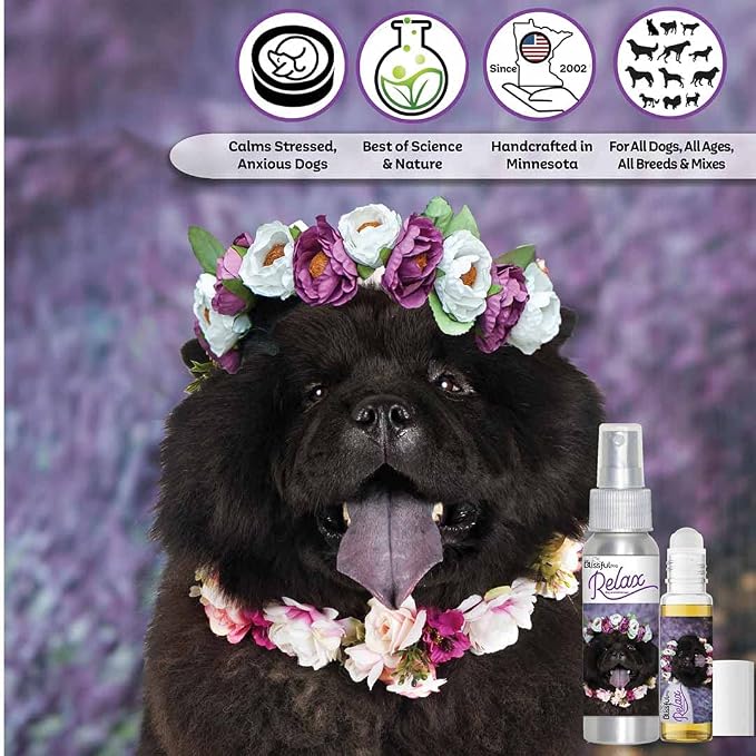 The Blissful Dog Chow Relax Dog Aromatherapy Spray for Your Dog's Anxiety