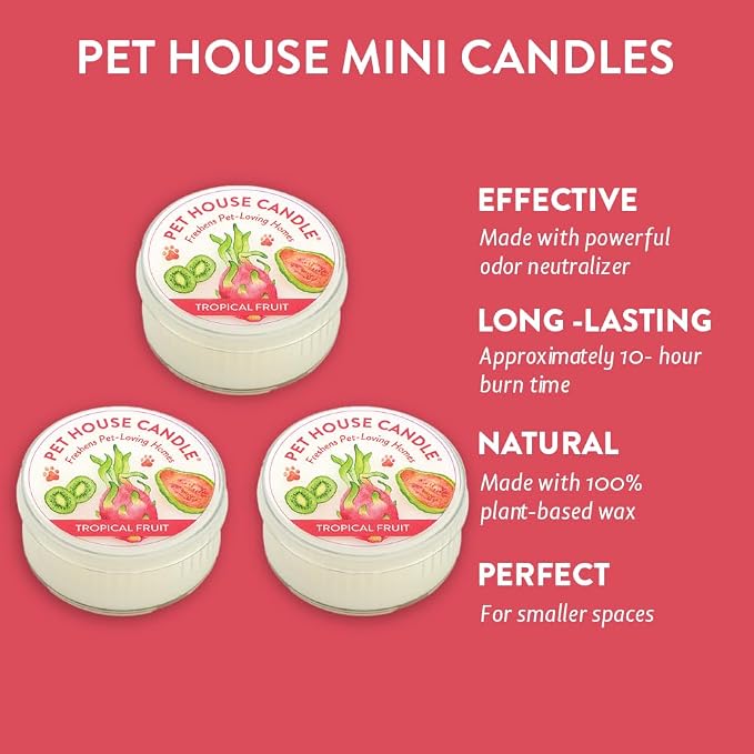 Pet House Mini Candles for Pet Odor Made with Natural Soy Wax, Plant Based, Dog and Cat Friendly Scented, Tropical Fruit Pack of 3