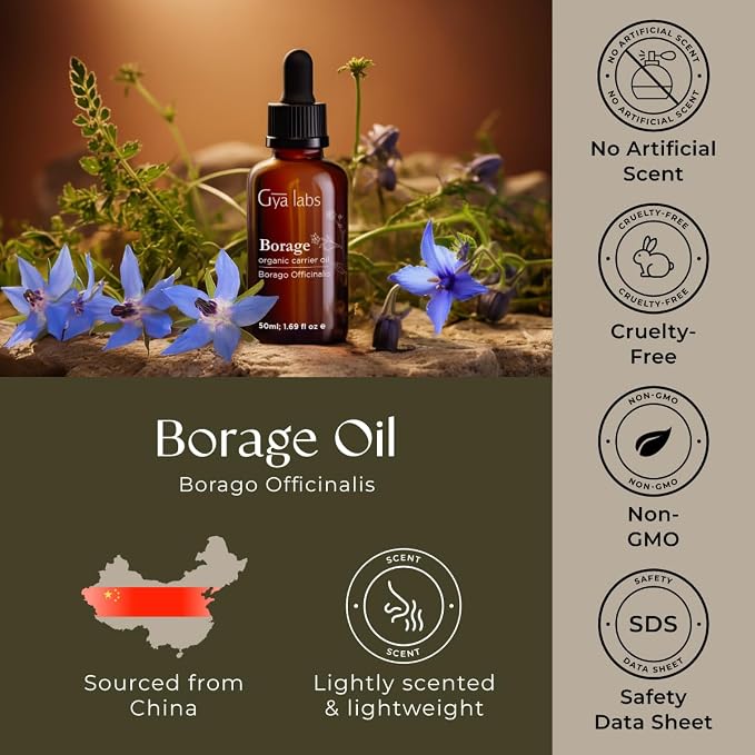 Gya Labs USDA Organic Borage Oil - 1.69 Fl Oz - Carrier Oil for Hair, Skin, Face, Scalp & Body Massage