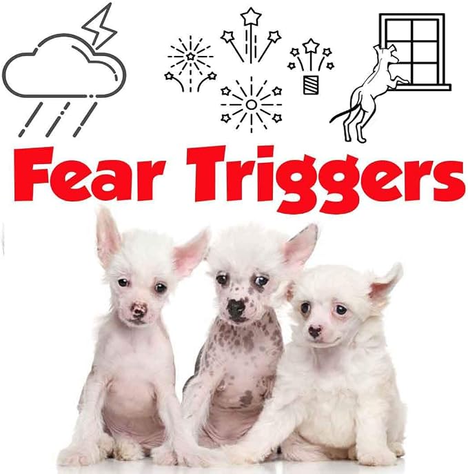 The Blissful Dog Chinese Crested Relax Dog Aromatherapy Spray for Your Dog's Anxiety