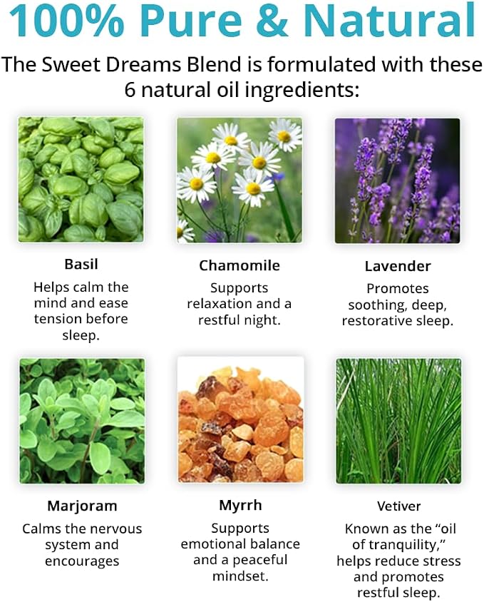 Wild Essentials Sweet Dreams 100% Pure Essential Oil Synergy Blend 2 Pack 10ml, Premium Grade, Use for Sleep, Rest, Relaxation, Nighttime, Made and Bottled in The USA