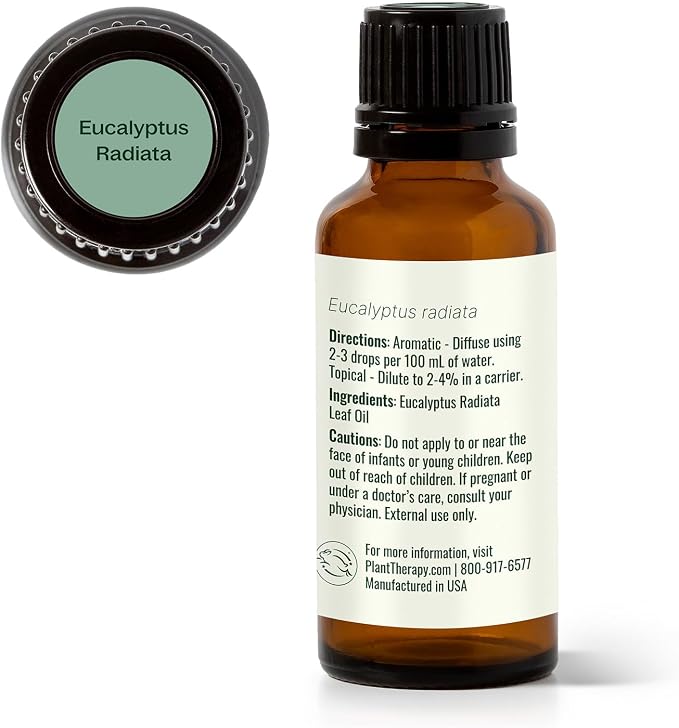 Plant Therapy Eucalyptus Radiata Essential Oil 30 mL (1 oz), 100% Pure, Undiluted, for Aromatherapy, Respiratory Support & Focus