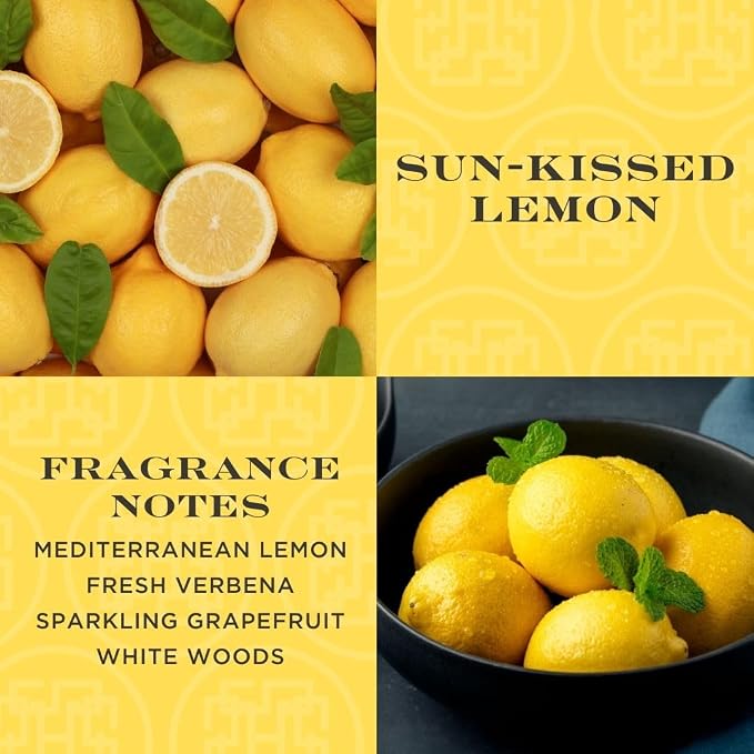 HomeWorx by SLATKIN + CO. Sun Kissed Lemon Reed Stick Diffuser