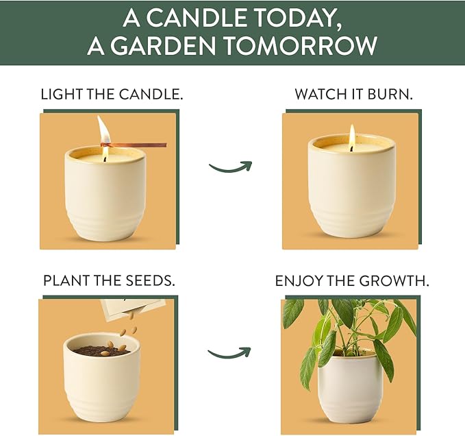 Modern Sprout Garden Vibes- 6oz Soy Candle Planter -Golden Moments - 2-Pack | 2 in 1 Soy Candles - 6 oz w/40-hr Burn - Spanish Sage, Cali Lemon, Amber, Moss - Reusable Ceramic Vessel as a Sage Planter