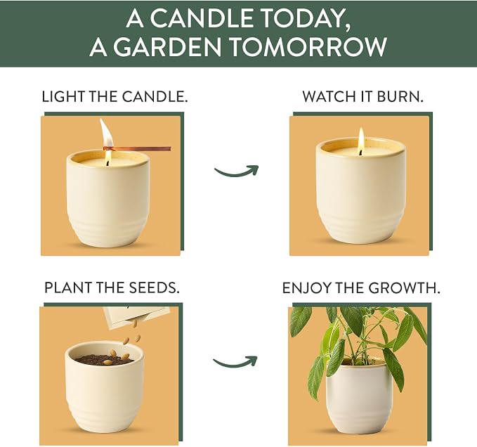 Modern Sprout - 2-in-1 Soy Candle & Planter - Golden Moments (Cali Lemon, Amber, Moss) 6 Oz Scented Candle with Sage Seeds - Dual Purpose Jar - 38-40 Hour Burn – Perfect Plant Lovers Gift
