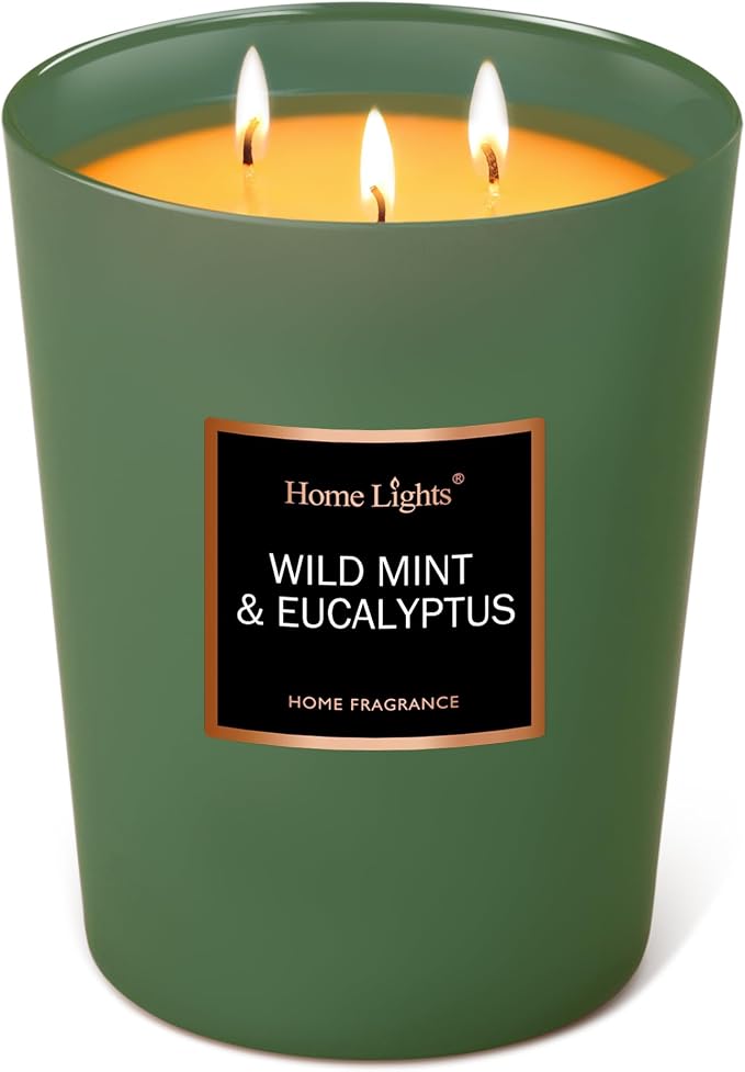 HomeLights Scented Candles - Large Jar Aromatherapy, Natural Soy Wax, 130 Hour Long Burning, Wild Mint & Eucalyptus