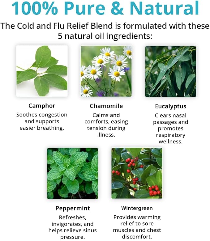 Wild Essentials Cold and Flu Relief 100% Pure Essential Oil Synergy Blend 10ml, Therapeutic Grade Formula for Congestion, Aches, migraines, Made in The USA