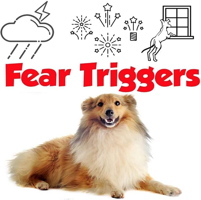 The Blissful Dog Shetland Sheepdog Relax Aromatherapy Spray for Your Dog's Anxiety