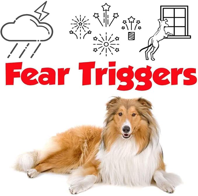 The Blissful Dog Collie Relax Dog Aromatherapy Spray for Your Dog's Anxiety