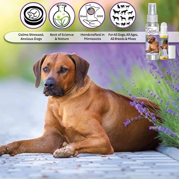 The Blissful Dog Rhodesian Ridgeback Relax Roll-ON Aromatherapy for Dogs - Anxiety Relief for Dogs