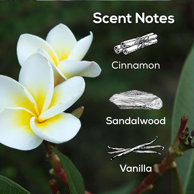 Scent Fill Nag Champa Plug in Air Freshener, Scented Oil Refills, 2 Refills + Diffuser