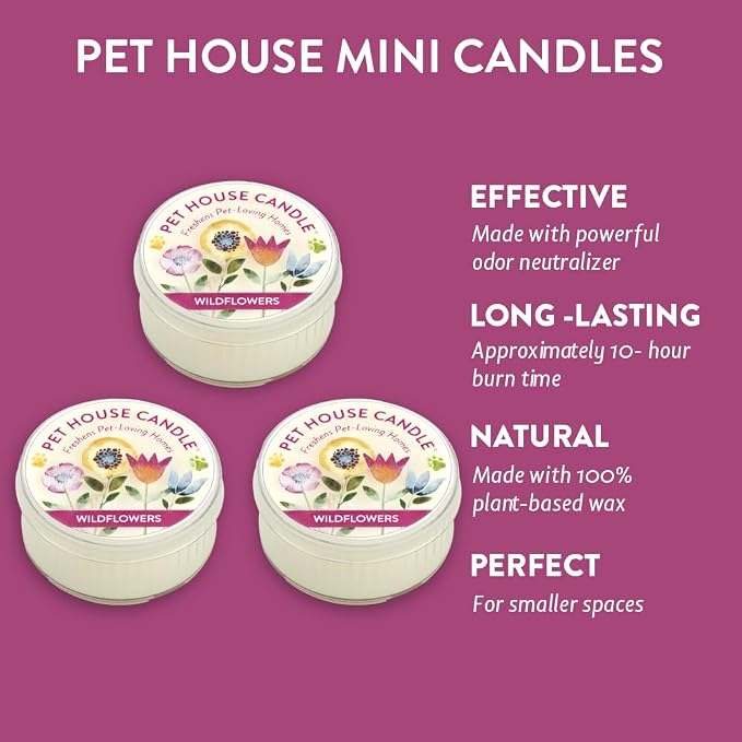 Pet House Mini Candles for Pet Odor Made with Natural Soy Wax, Plant Based, Dog and Cat Friendly Scented Candles, Wildflowers Pack of 3