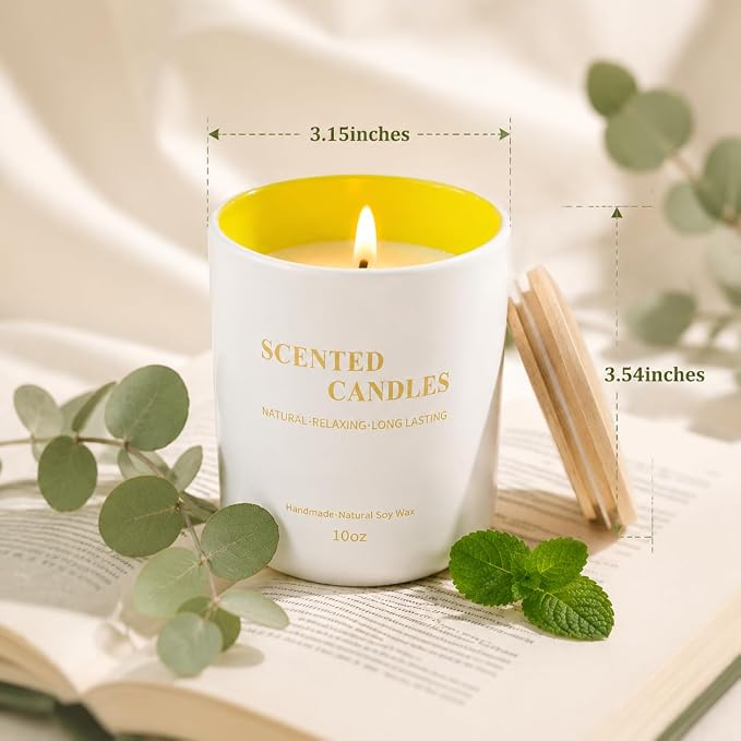 Lanttu Eucalyptus & Mint Scented Candle, 10 oz Natural Soy Wax | 40 Hours Long Lasting Burning, For Home Decor, Jar Candles, Gift for Women Mom Friend Birthday Housewarming