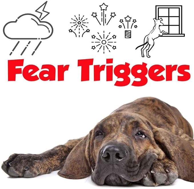 The Blissful Dog Fila Brasileiro Relax Dog Aromatherapy Spray for Your Dog's Anxiety