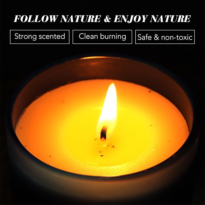 Sage & Lemongrass Scented Soy Candles for Home Spa Aromatherapy Candles with Natural Essential Oils | Long-Lasting Outdoor/Indoor Use, Calm Relaxation Gifts– 6OZ