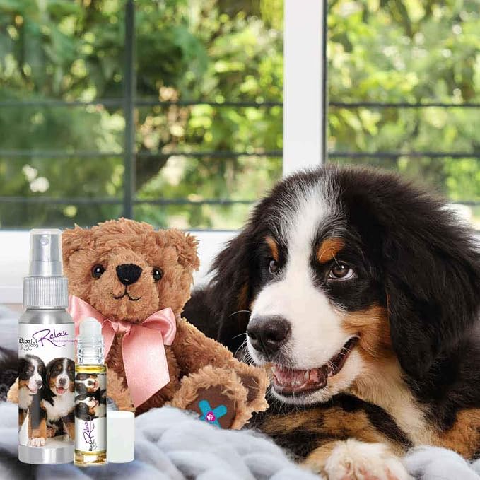 The Blissful Dog Bernese Mountain Dog Relax Dog Aromatherapy Spray for Anxiety