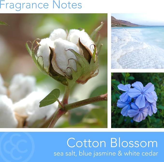 Colonial Candle Cotton Blossom Scented Jar Candle | 2-Wick Natural Soy Blend Wax Candle for Home | Relaxing Aromatherapy Candle Infused with Essential Oils | M. Baker Apothecary Glass Jar Candle