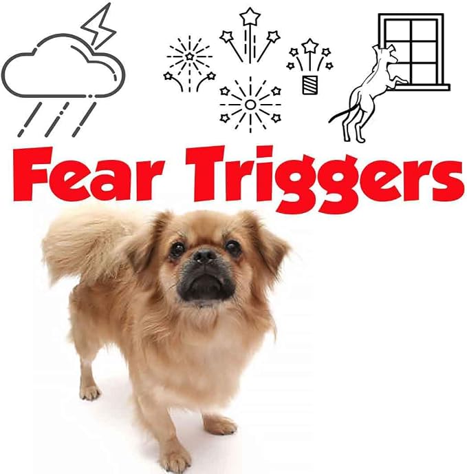 The Blissful Dog Tibetan Spaniel Relax Dog Aromatherapy Spray for Your Dog's Anxiety
