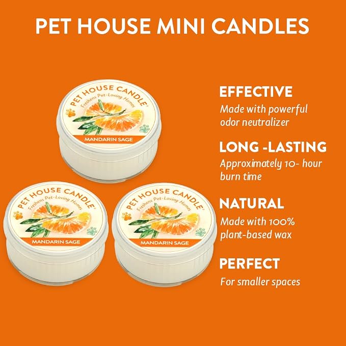 Pet House Mini Candles for Pet Odor Made with Natural Soy Wax, Plant Based, Dog and Cat Friendly Scented, Mandarin Sage Pack of 3