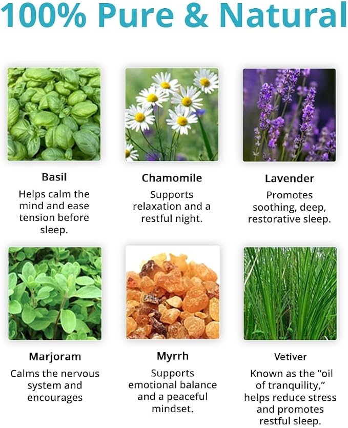 Wild Essentials Go The F to Sleep Essential Oil Blend, Soothing Bedtime Aromatherapy Oil for Diffusers, 100% Pure, Crafted in USA