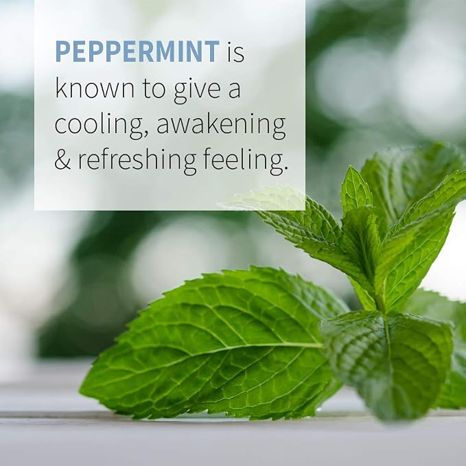 Garden of Life Peppermint Essential Oil – 100% Pure Essential Oil for Diffuser, Aromatherapy, Meditation, Energizing and Refreshing, USDA Organic, Non-GMO, 1 fl oz
