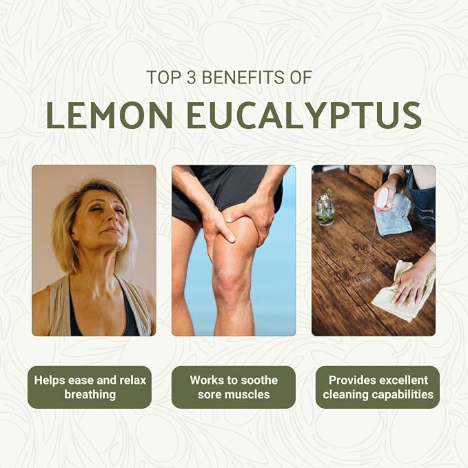 Lemon Eucalyptus Oil by Eucaliptus from Brazil - Pure Lemon Eucalyptus - 100% Pure Steam Distilled Natural Aceite de Eucalipto Limón - Aromatherapy - Premium Therapeutic Grade - 15ml