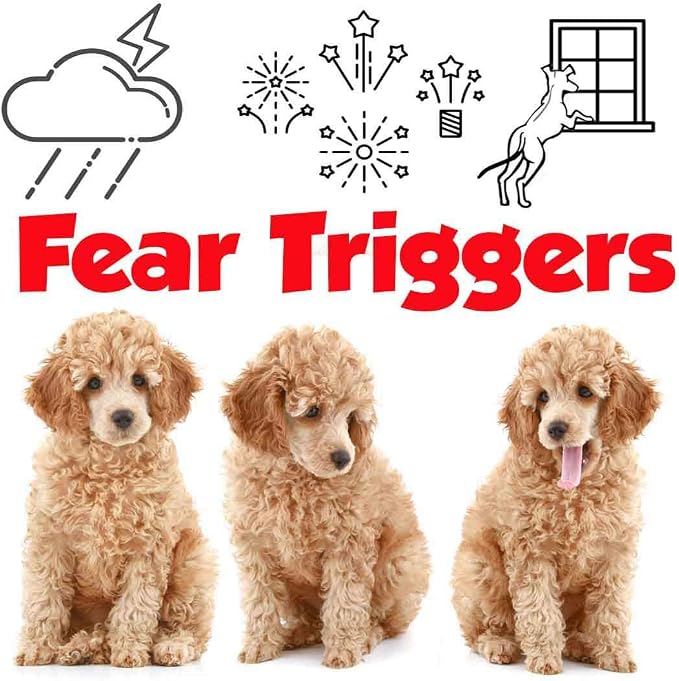 The Blissful Dog Poodle Relax Dog Aromatherapy Spray for Your Dog's Anxiety