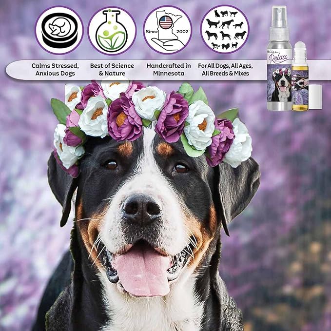 The Blissful Dog Greater Swiss Mountain Dog Relax Aromatherapy Spray for Your Dog's Anxiety