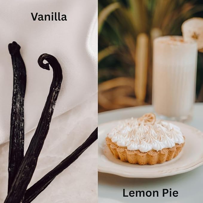 Wicks & Wine Soy Blend 3-Wick Cotton CORE Candle 14oz (Lemon Pie)