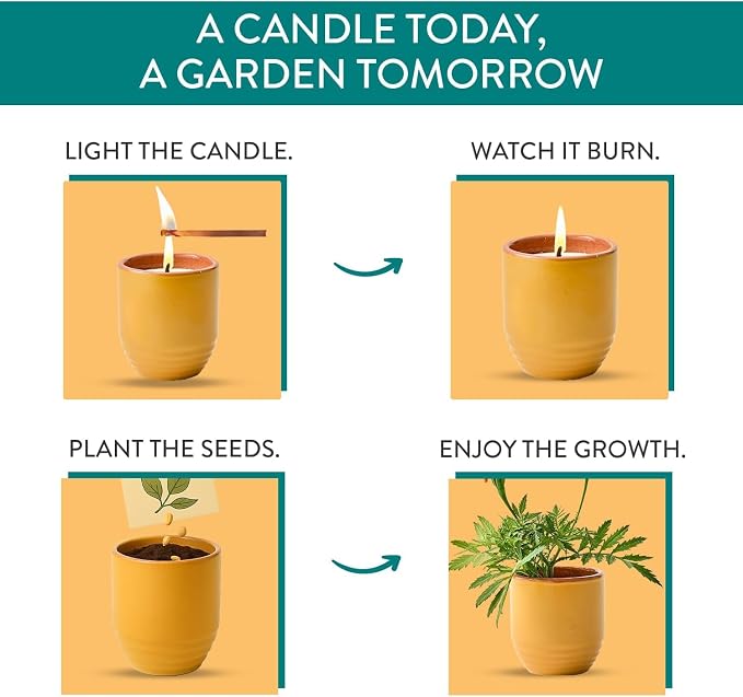 Modern Sprout - 2-in-1 Soy Candle & Planter Set - Patio Goals 3-Pack (Bug-Repelling Citronella, Rosemary, Cedarwood, Mint) 6 Oz Outdoor Scented Candles with Marigold Seeds - 38–40 Hour Burn