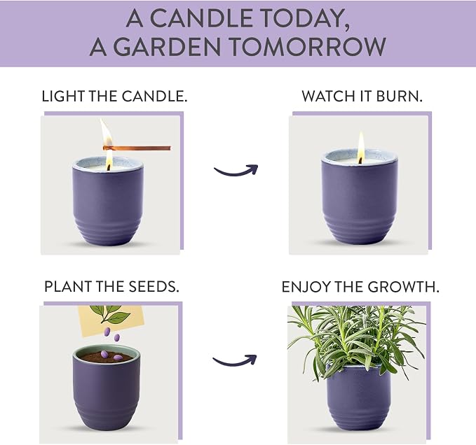 Modern Sprout Garden Vibes - 6 Oz Soy Candle Planter - Violet Hour - 2-Pack | 2 in 1 Soy Candles-6 oz w/40-hr burn; Lavender, Grape Soda, Wild Iris, Violet - Reusable Ceramic Vessel as a Lavender Planter