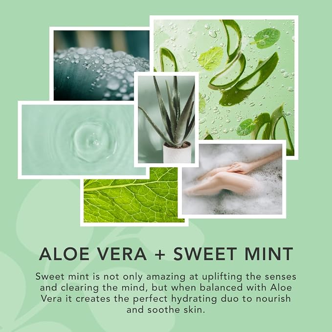 Sunday Rain Aloe Vera & Sweet Mint Soy Candle, with Aromatherapy Oils, Up to 40 Hours Burn Time, Refreshing & Calming Fragrance, 265g