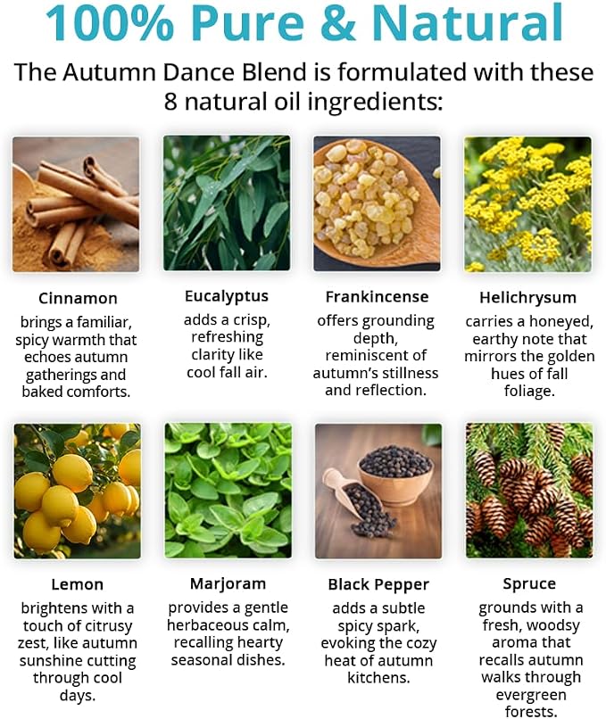Wild Essentials Autumn Dance 100% Pure Essential Oil Synergy Blend - 10ml, Therapeutic Grade, Warming, Potpourri, Comfort, Made and Bottled in The USA
