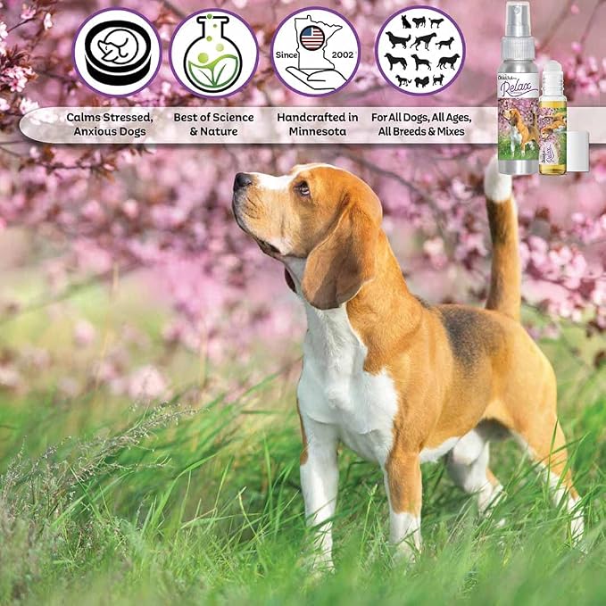 The Blissful Dog Beagle Relax Dog Aromatherapy Spray for Your Dog's Anxiety