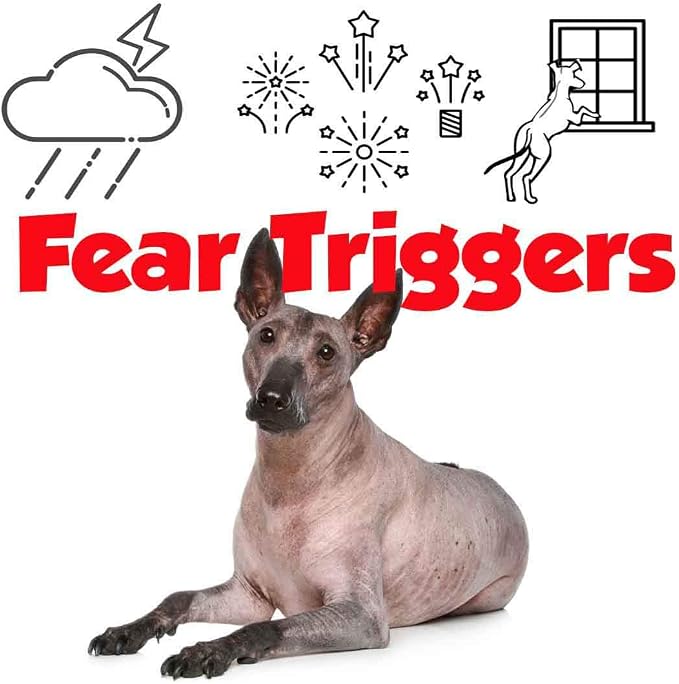 The Blissful Dog Xoloitzcuintli Relax Roll-ON Aromatherapy for Dogs - Anxiety Relief for Dogs